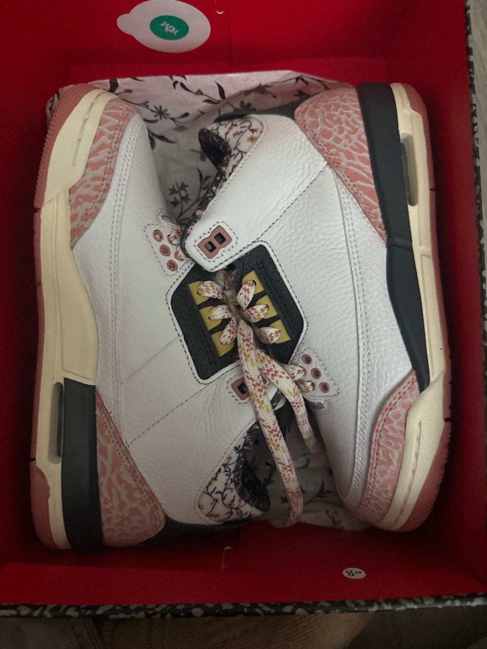 Air Jordan’s 3 retro